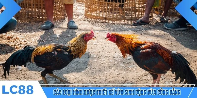 Các loại hình được thiết kế vừa sinh động vừa công bằng