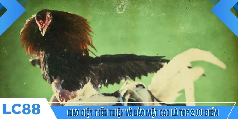 Giao diện thân thiện và bảo mật cao là top 2 ưu điểm