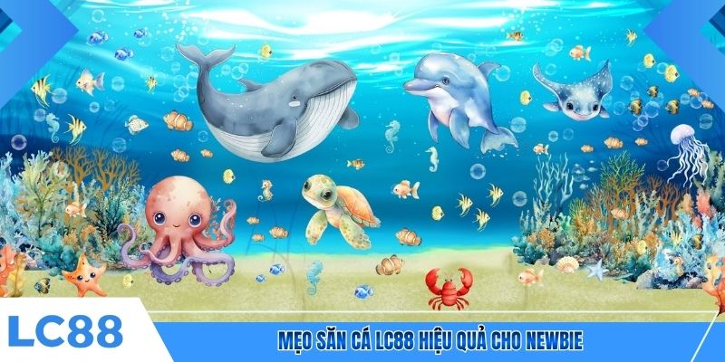 Mẹo săn cá LC88 hiệu quả cho newbie